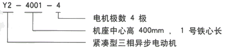 YR系列(H355-1000)高压YKS5009-6/900KW三相异步电机西安西玛电机型号说明